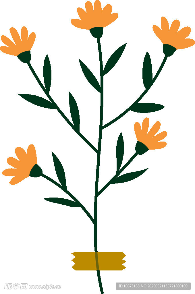 橙色花朵植物插画