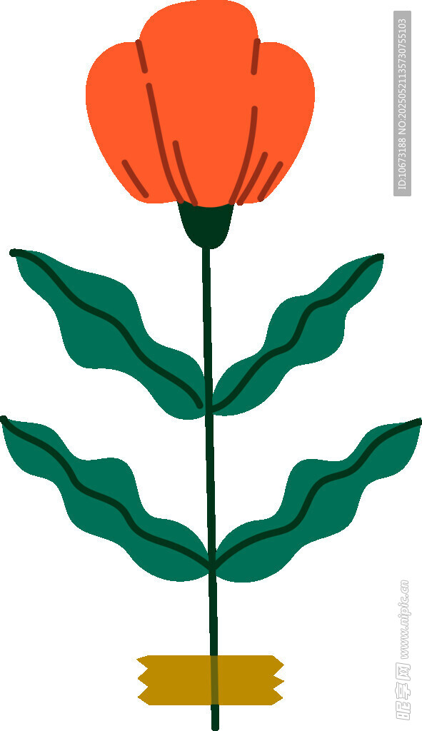 橙色花朵插画