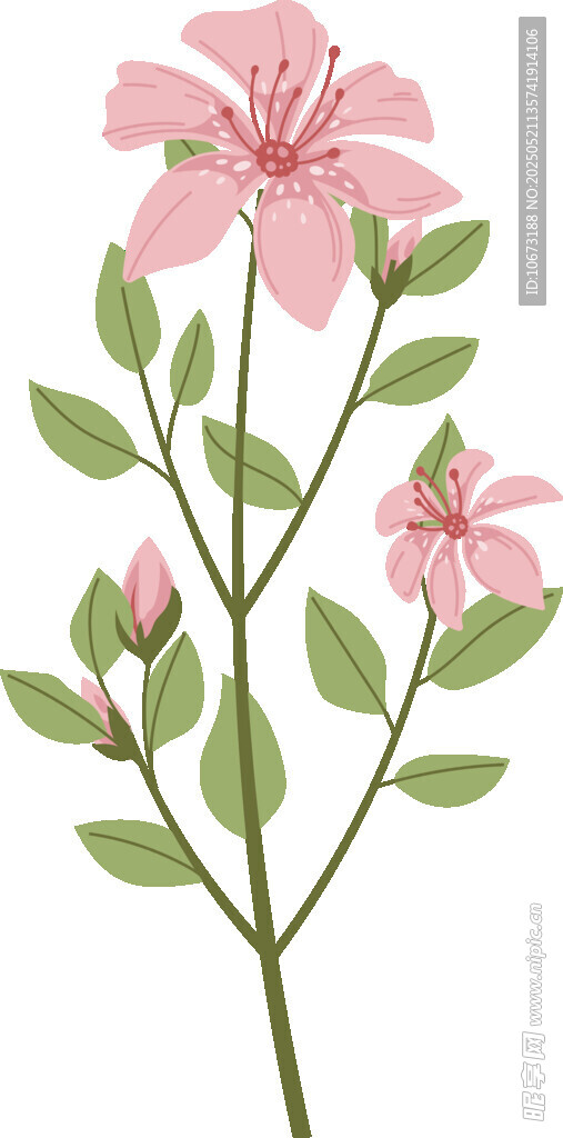 粉色花卉插画