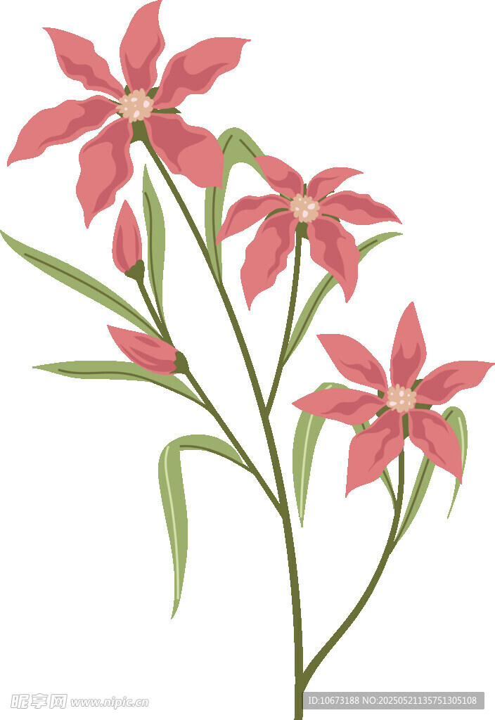 粉色花卉插画