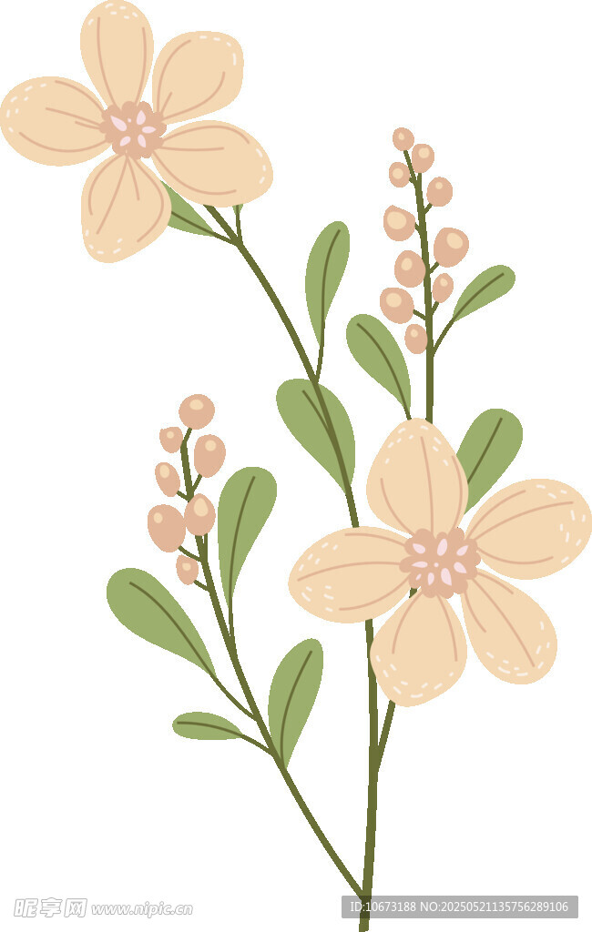 手绘清新花卉插画