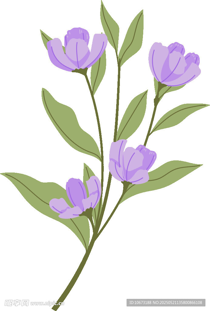 紫色花卉枝条插画