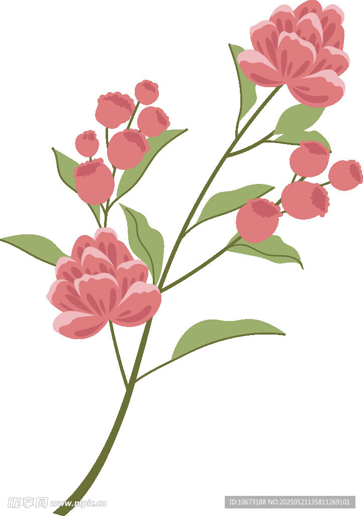 粉色花卉枝条插画