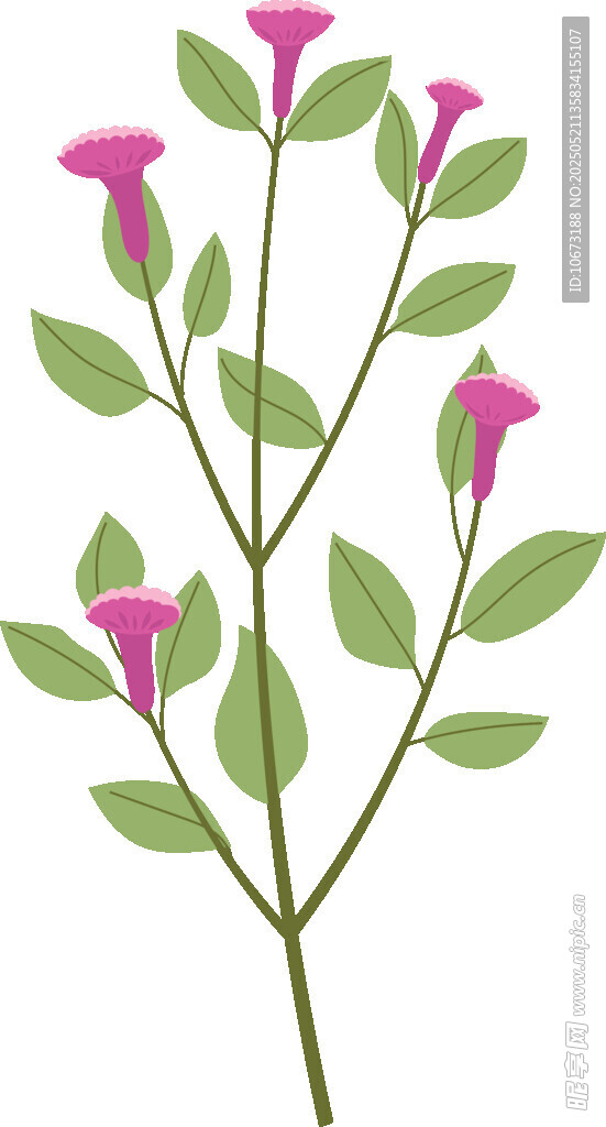 粉色花朵绿叶植物插画