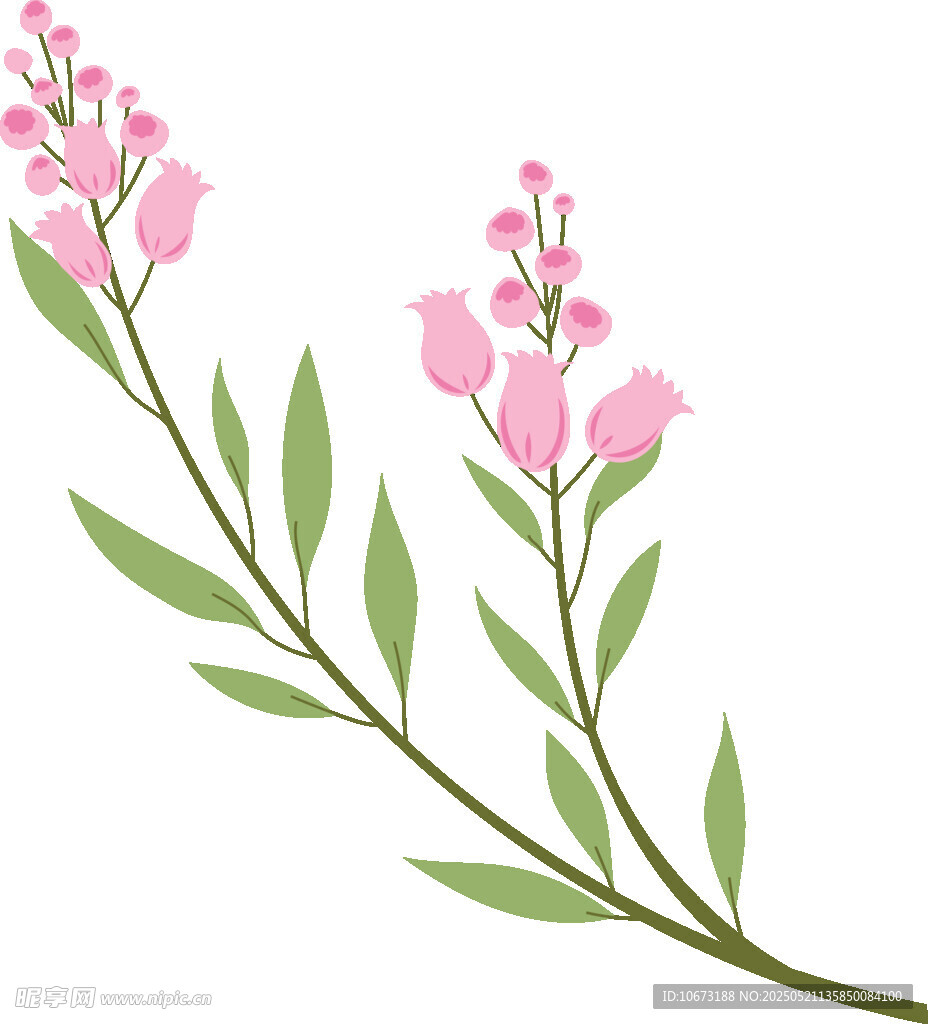 粉色花枝插画