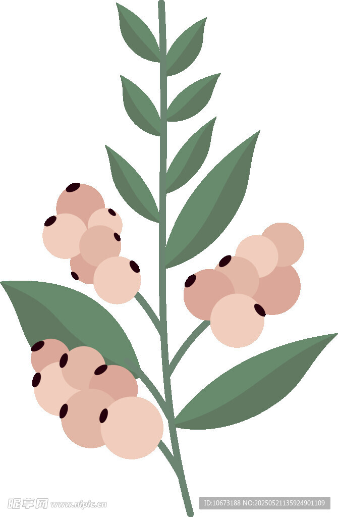 粉色花朵绿叶植物插画