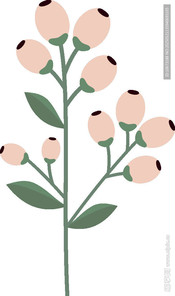 粉色花朵植物插画