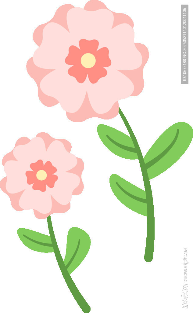 两朵粉色花朵插画