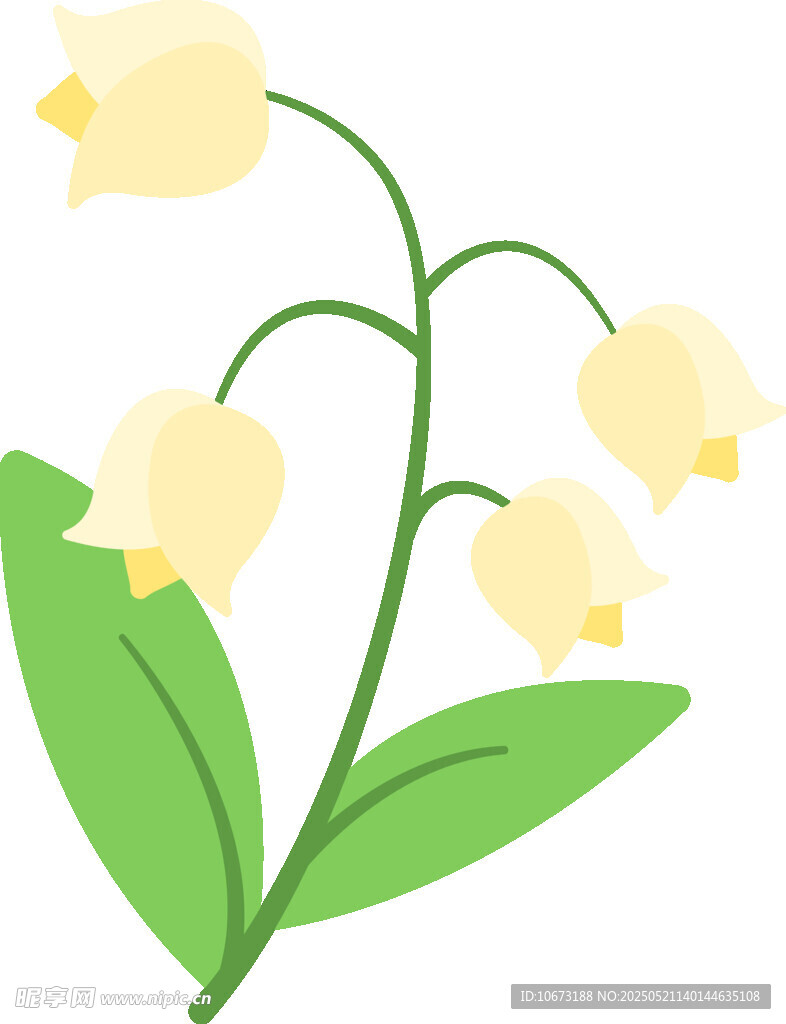 铃兰花插画