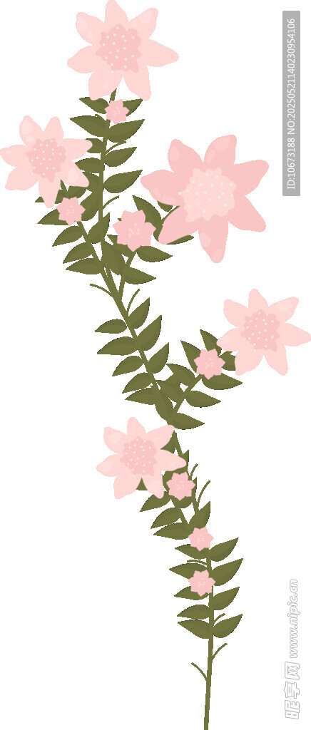 粉色花枝插画