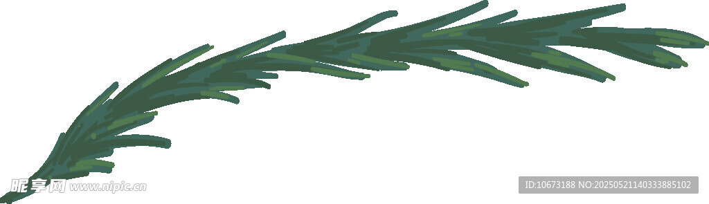 绿色枝叶插画