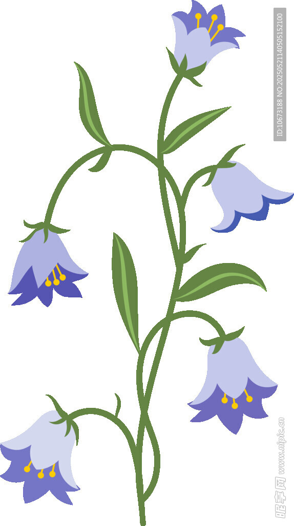 蓝紫色风铃花插画