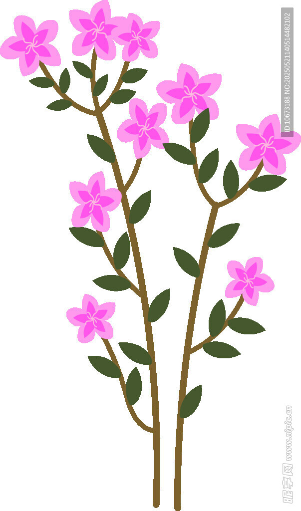 粉色小花插画