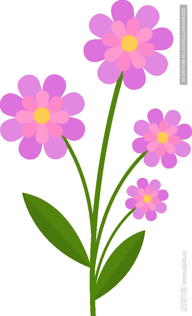 紫色小花插画