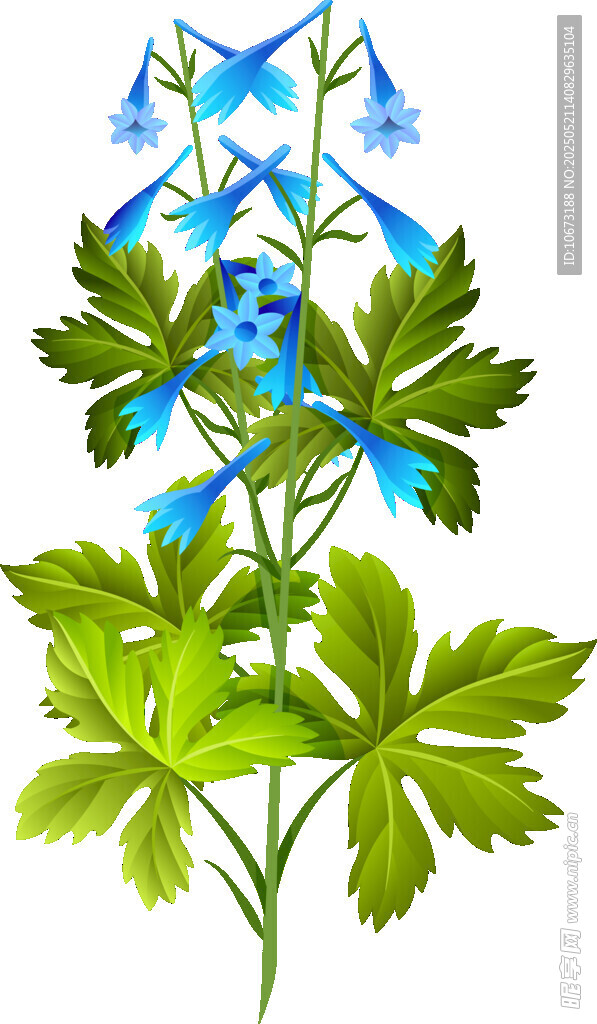 蓝色花朵与绿叶植物