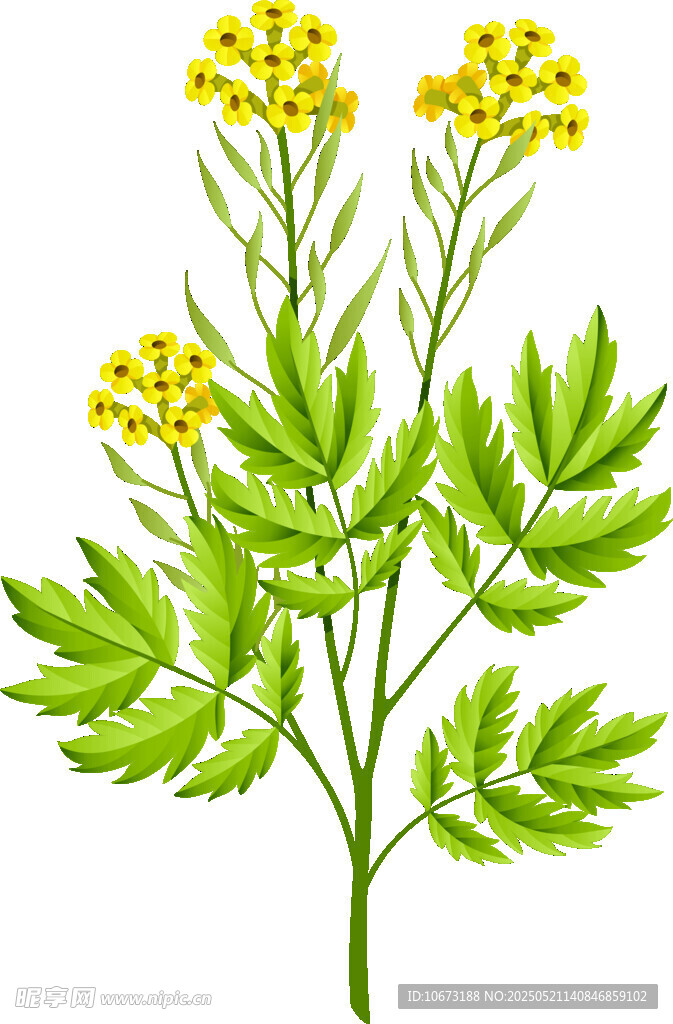 黄色小花绿叶植物插画
