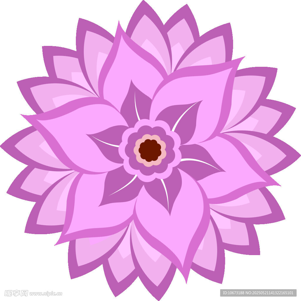 紫色莲花图案