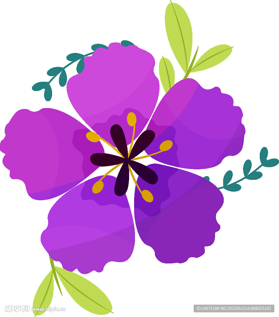 紫色花朵插画