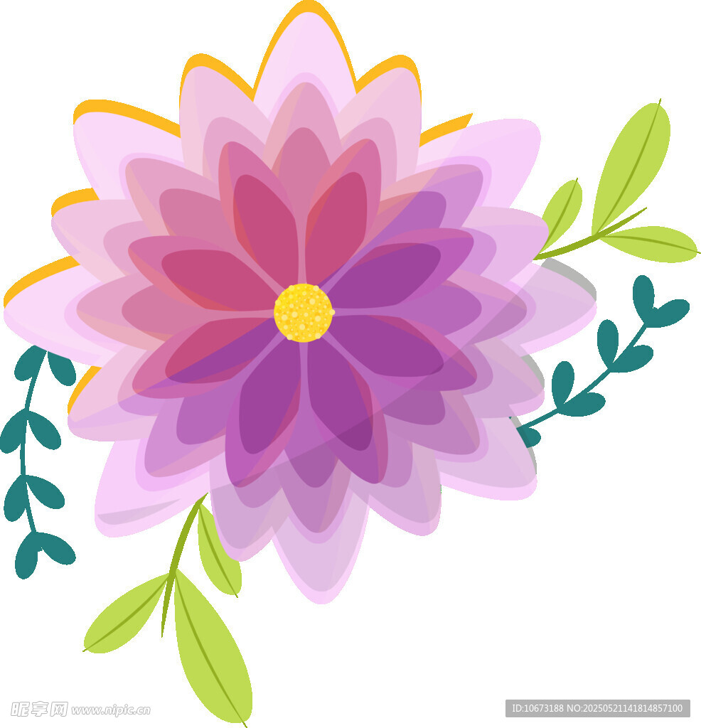 紫色花朵插画