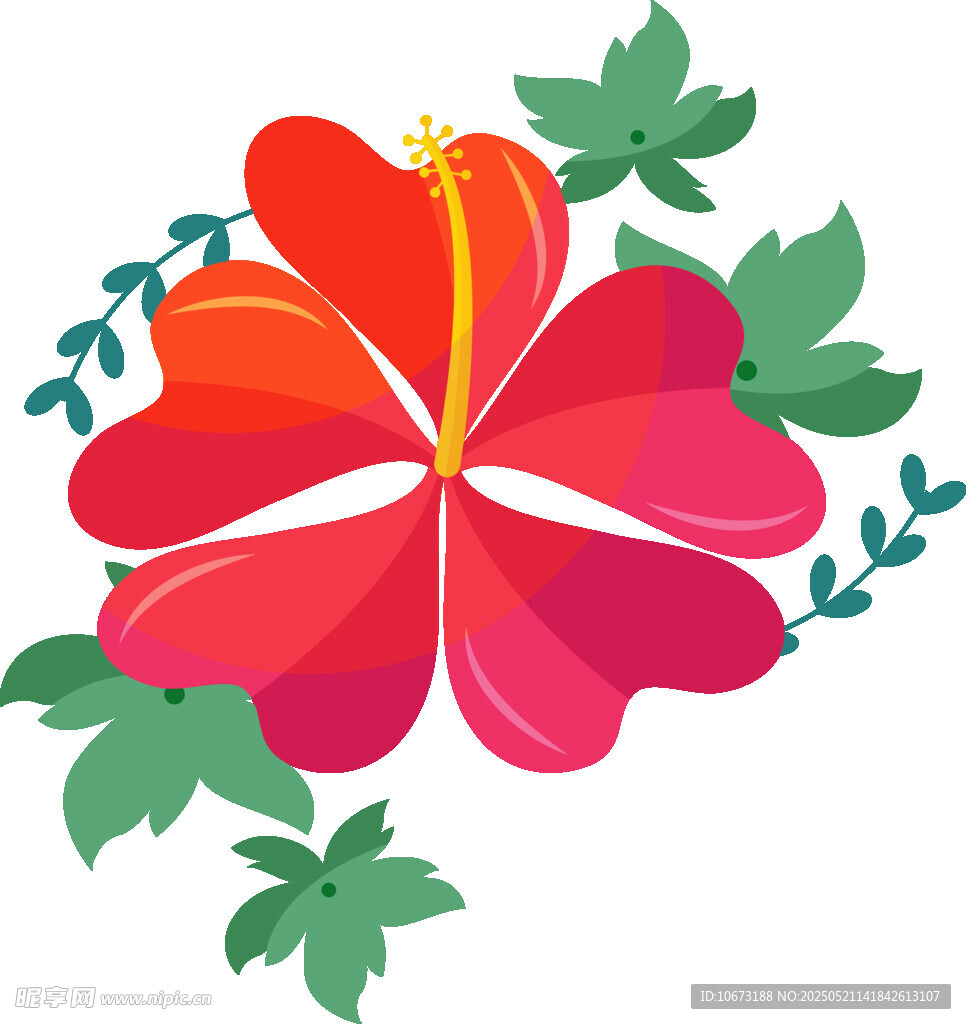 鲜艳扶桑花配翠绿叶片