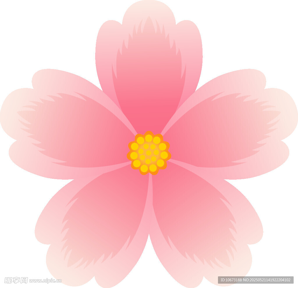 粉色花朵插画