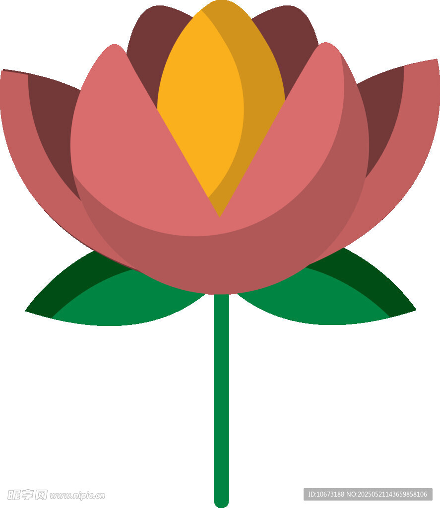 粉色莲花插画