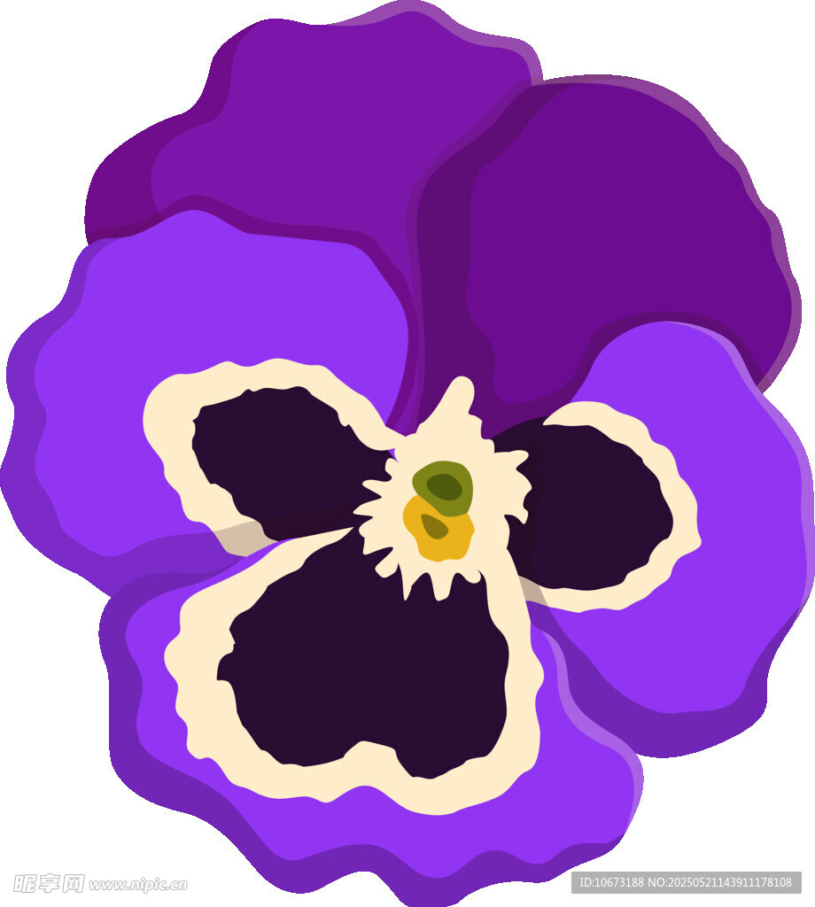 紫色三色堇花朵插画