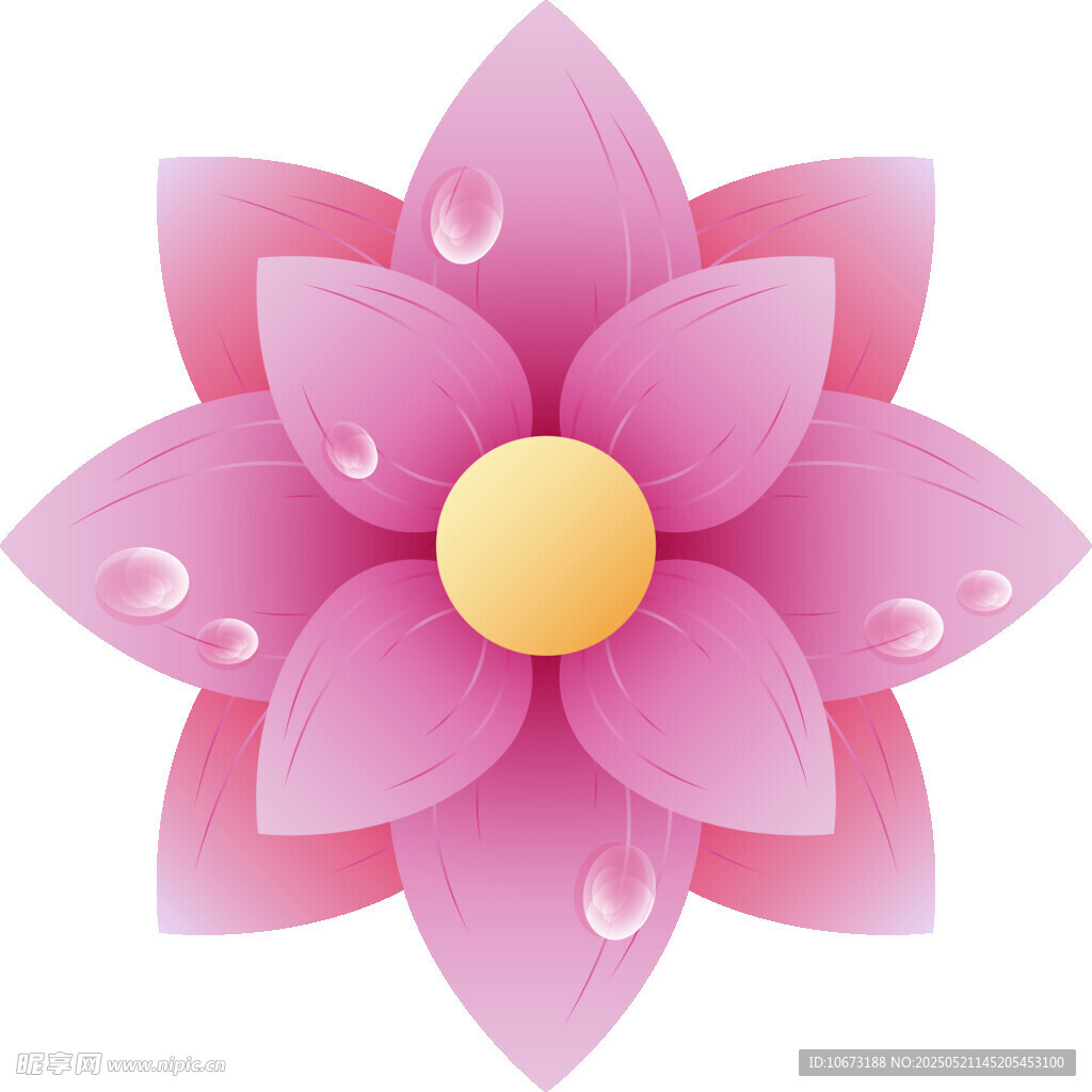 粉色莲花插画