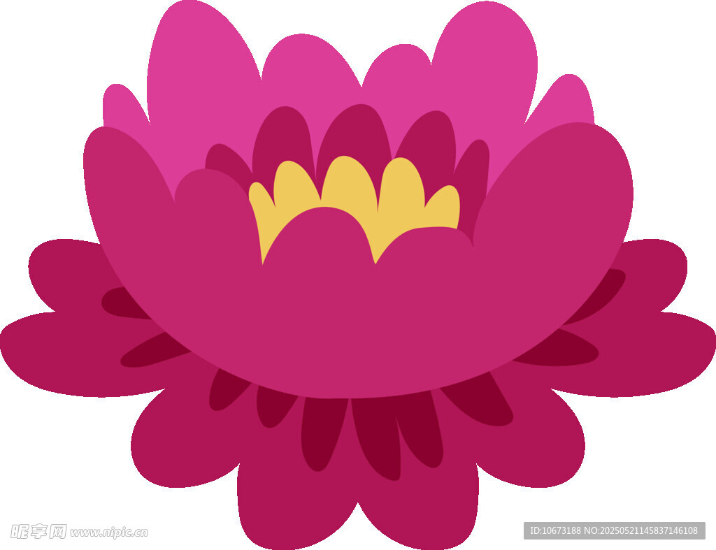 粉色莲花插画
