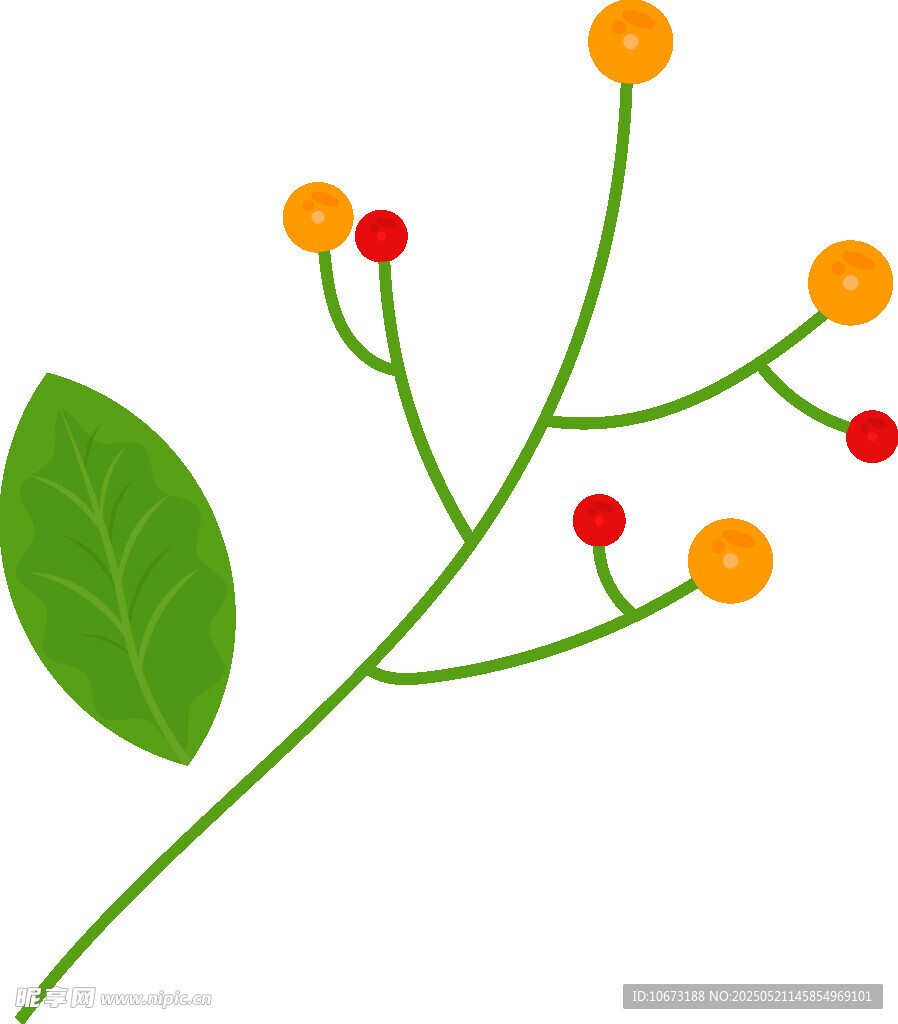 手绘简约植物花卉图案