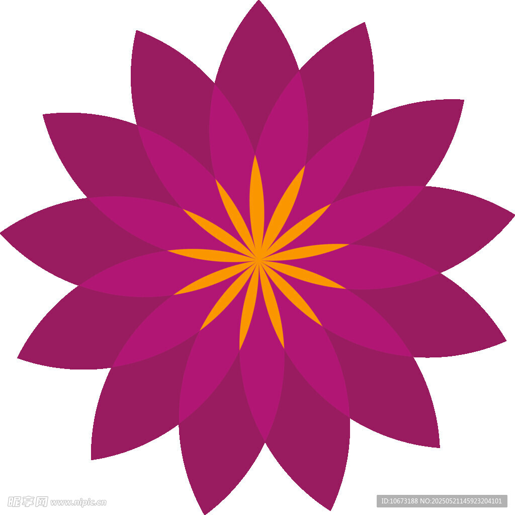 紫色莲花图案