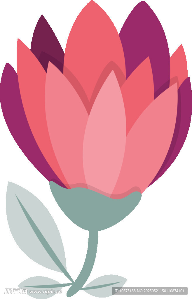粉色花朵插画