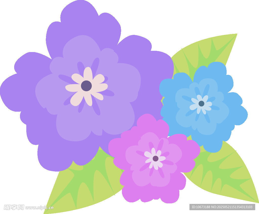 多彩花卉插画