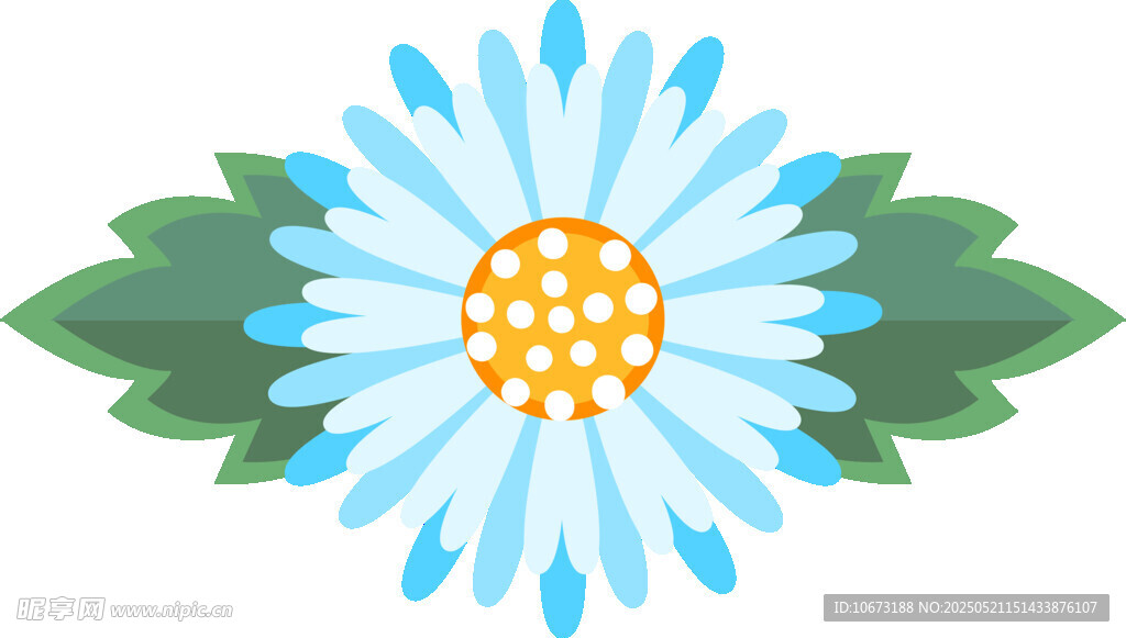 蓝色雏菊插画