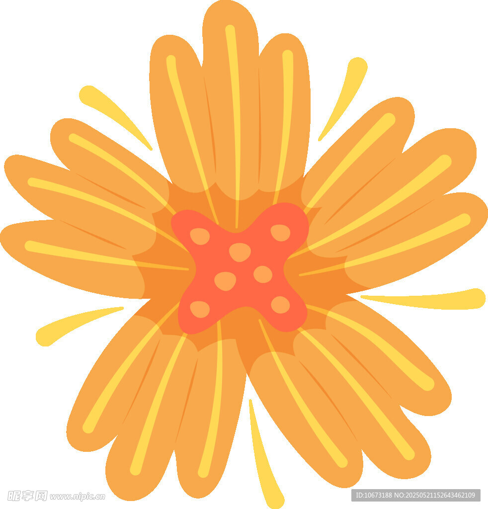 橙色花朵插画