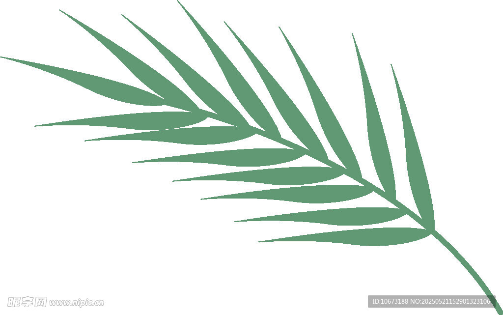 绿色棕榈叶植物素材