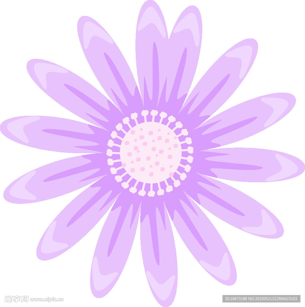 紫色花朵插画