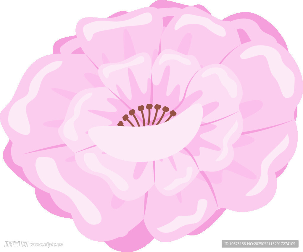 粉色花朵插画