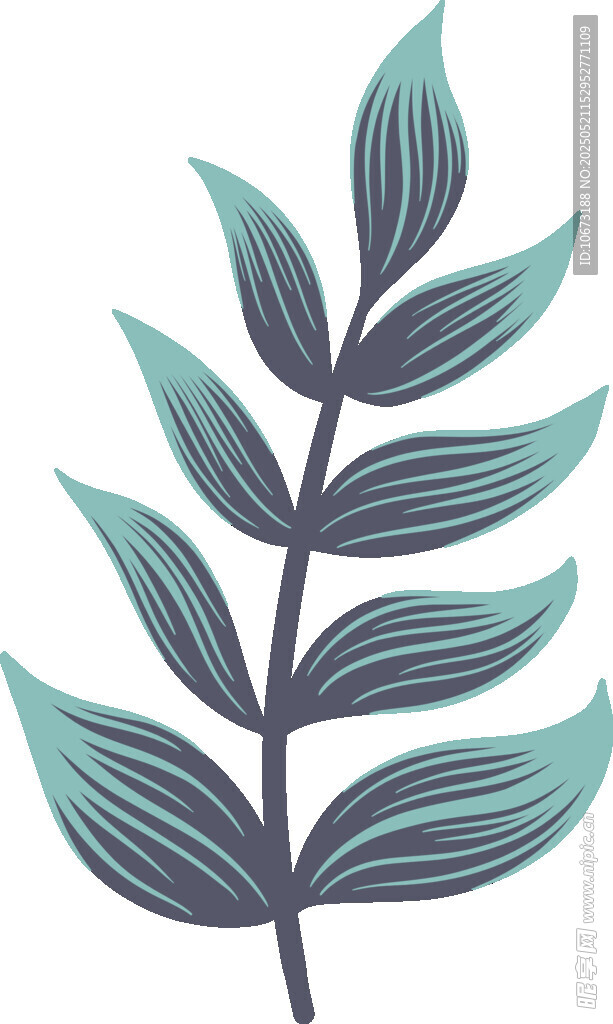 蓝绿色叶片植物插画