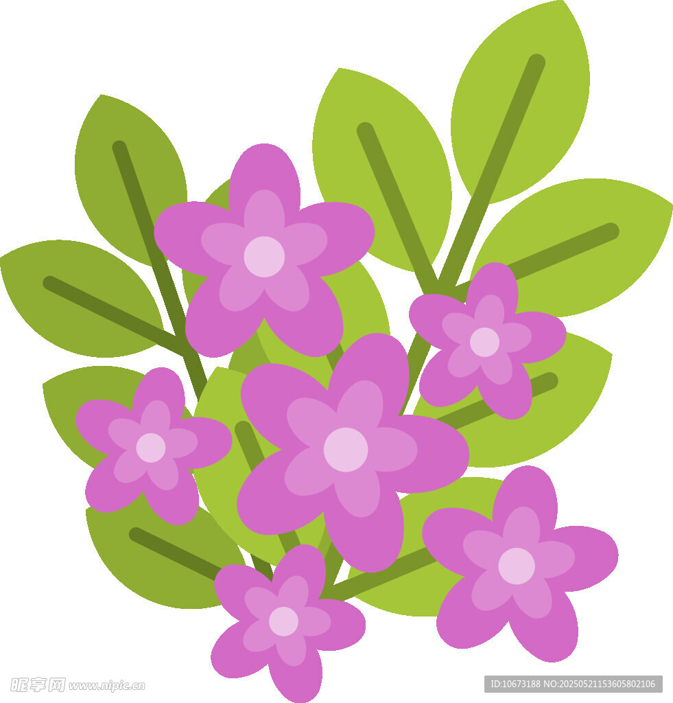 紫色花朵与绿叶插画