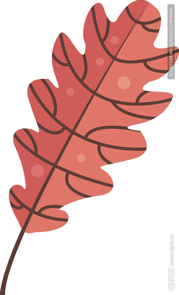 红色枫叶插画