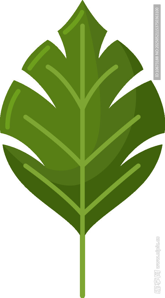 绿色简约风单片植物叶子