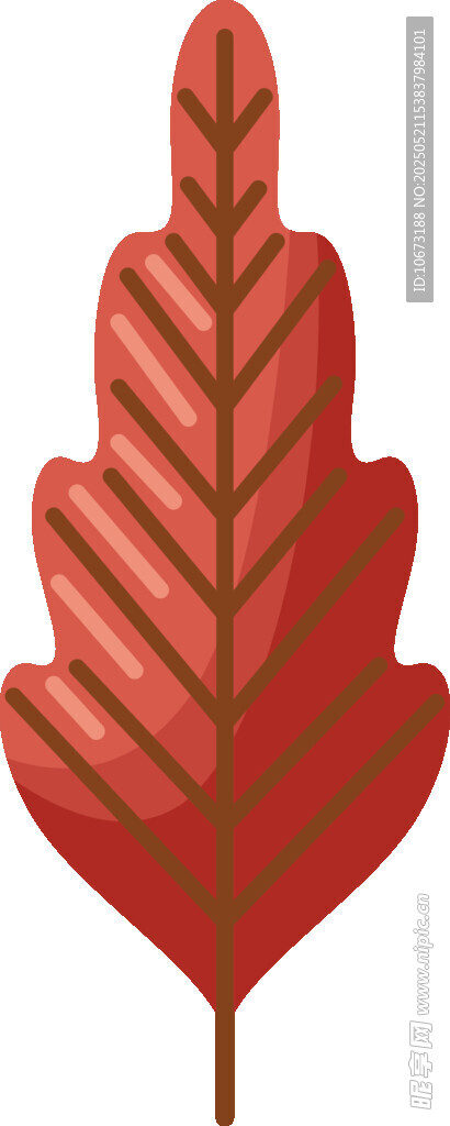 红色叶脉枫叶插画