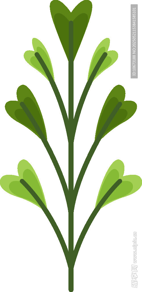 心形叶片植物插画