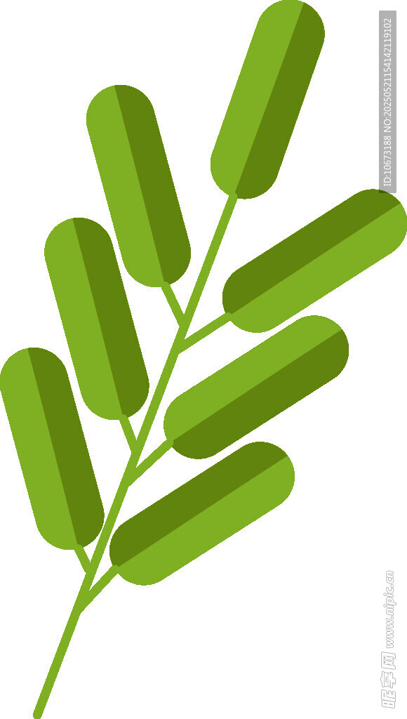 绿色豆荚植物枝叶特写