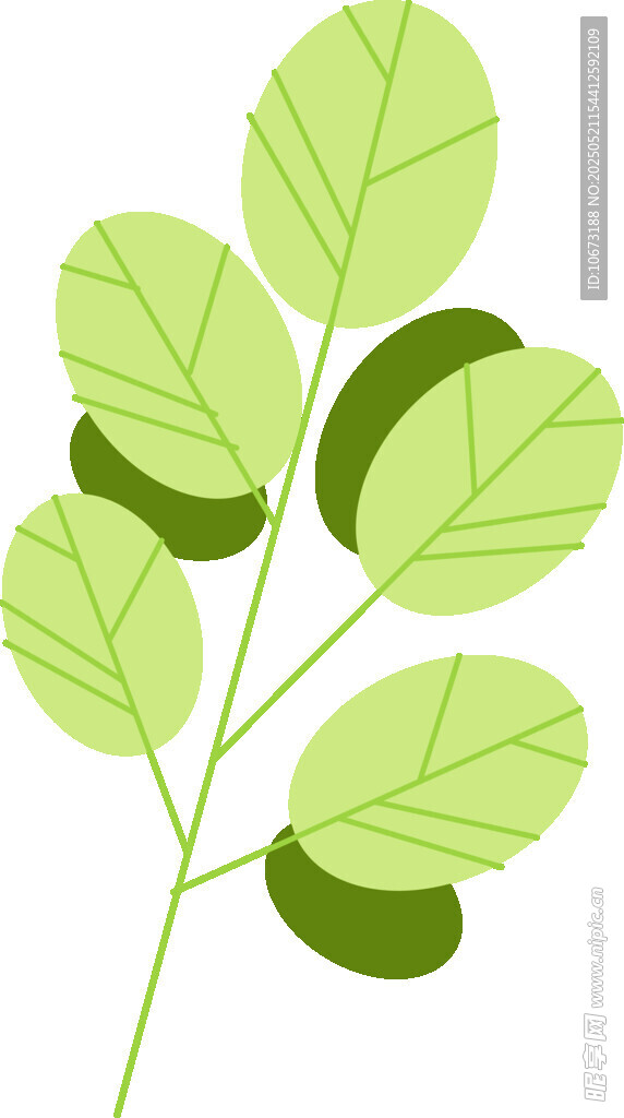 清新绿叶植物插画