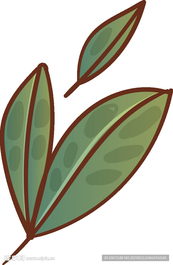 手绘绿叶插画