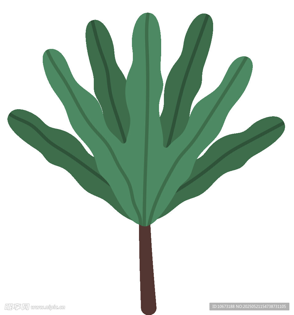 绿色手掌状叶片植物