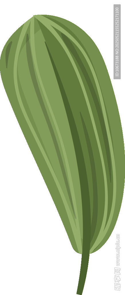 绿色条纹叶片植物插画