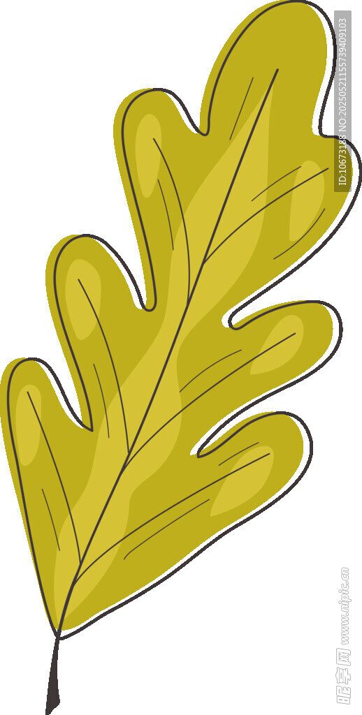 黄色锯齿状叶片插画